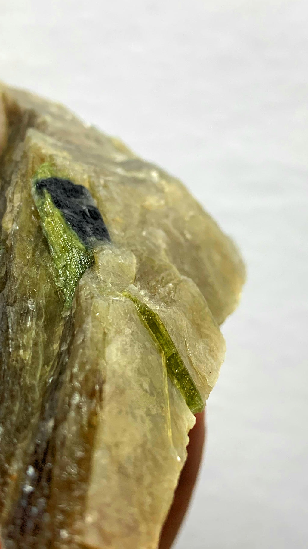 Maine Green Tourmaline Rare Growing inside Muscovite Mica & Quartz from Mt. Mica, Oxford County – Raw Natural Pegmatite Crystal Specimen (118grams)